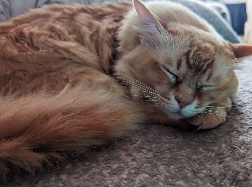 Fluffy
