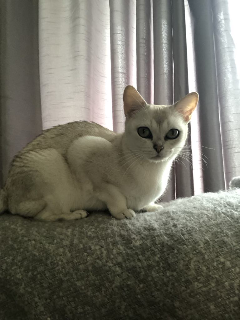 Rosie